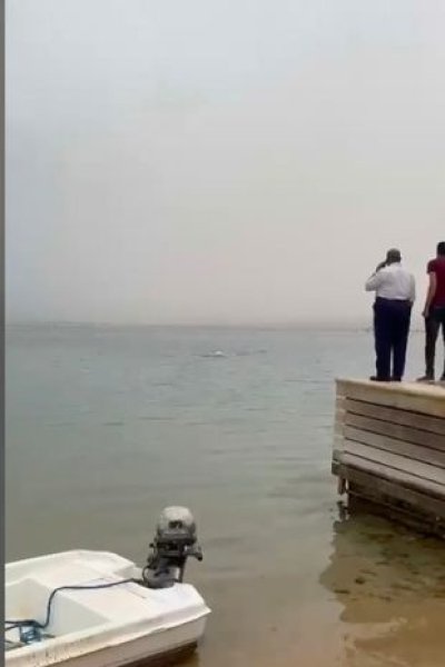 Місце, де напала акула у Єгипті, напади акул, акула з’їла людину, акула напала 2023, акула напад, акула в Єгипті,