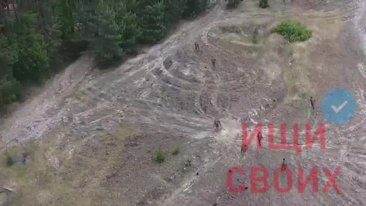  ,   :        dqxikeidqxidqrant