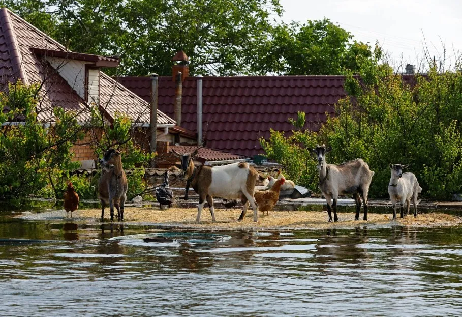 Reuters      -     . 21+