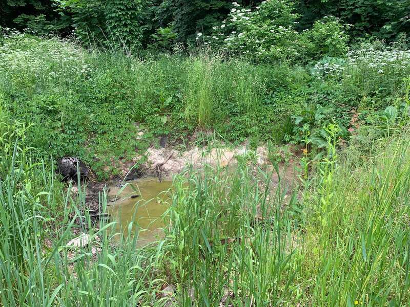 На місці підірваного танка зяє велика яма-воронка, заповнена дощовою водою. Фото: Ольга Мусафірова, спеціально для «Нової газети Європа»