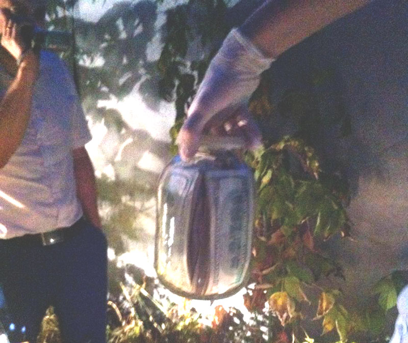      ,     2016    dqxikeidqxidqrant