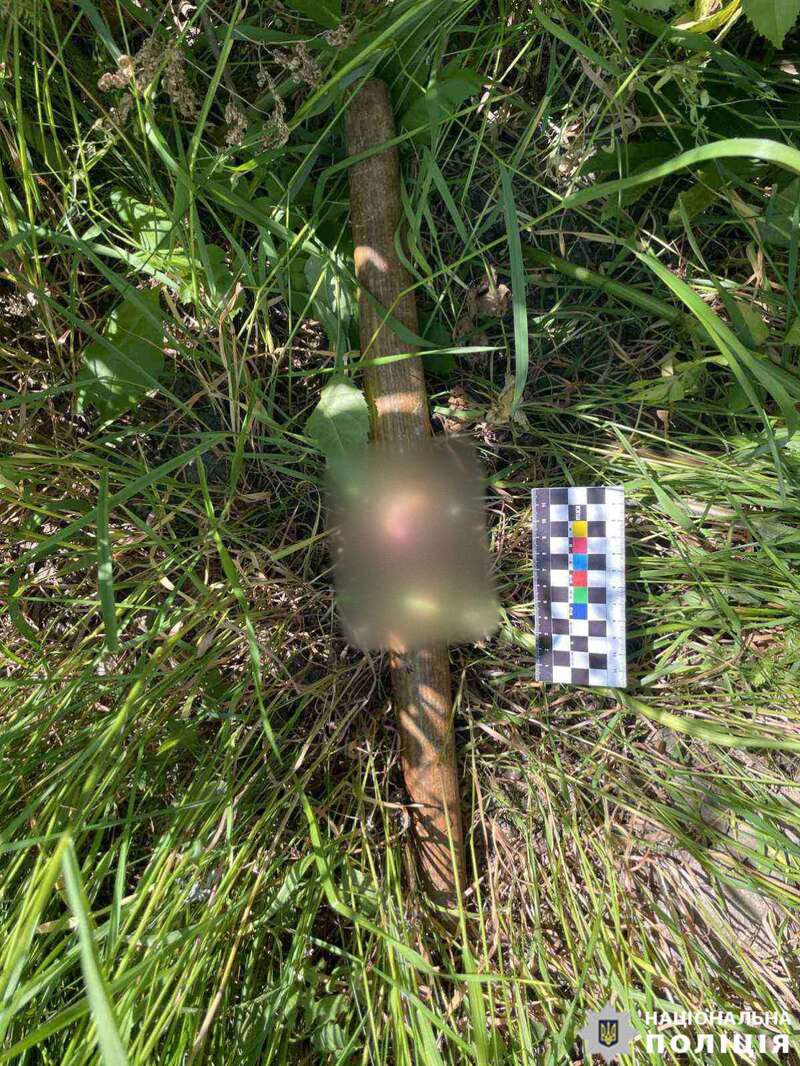 В Винницкой области 48-летняя женщина во время спора нанесла тяжкие телесные повреждения скалкой своему мужу dqxikeidqxidqeant