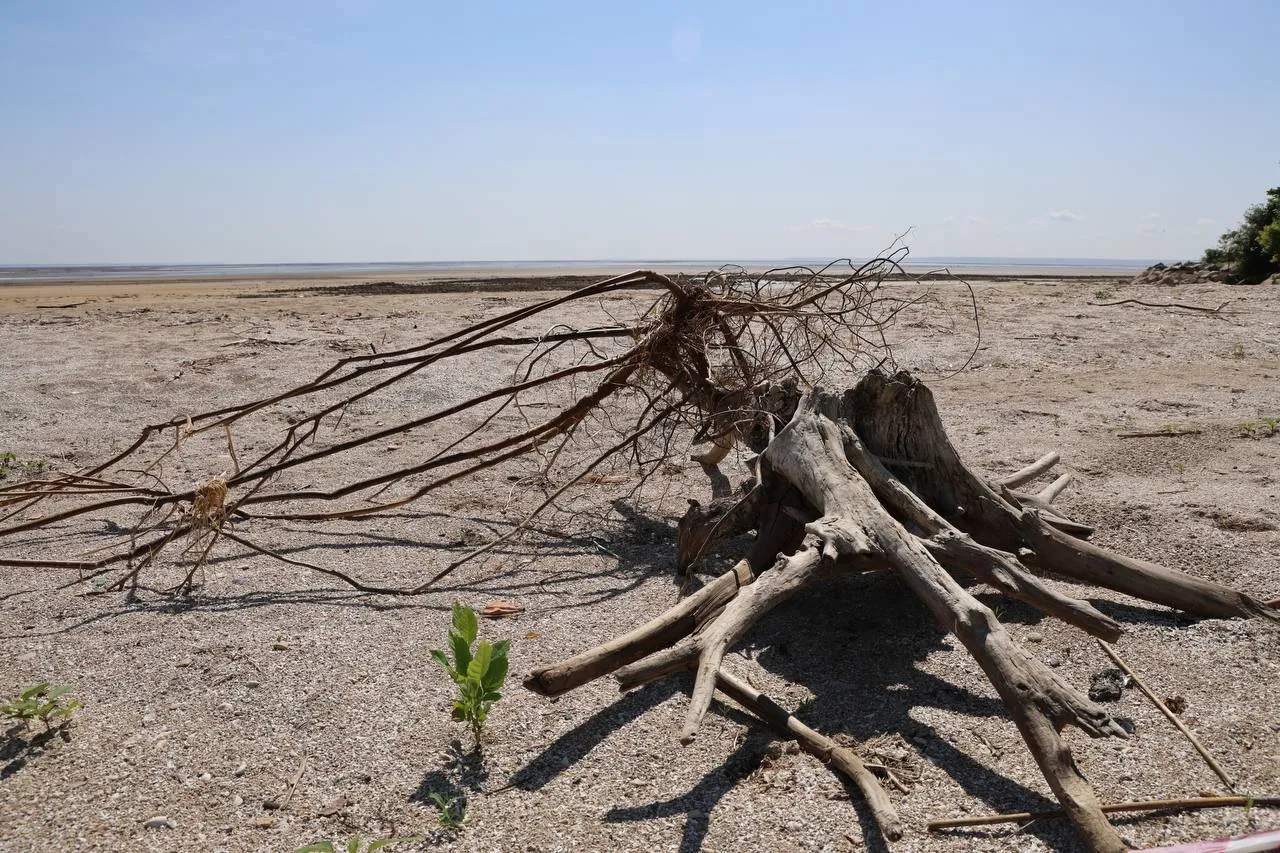 ,   :   ,     .    dqxikeidqxidqrant