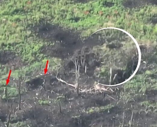 В ход пошла палка: украинский дрон снял драку окупантов прямо на позициях. Видео dqxikeidqxidqrant