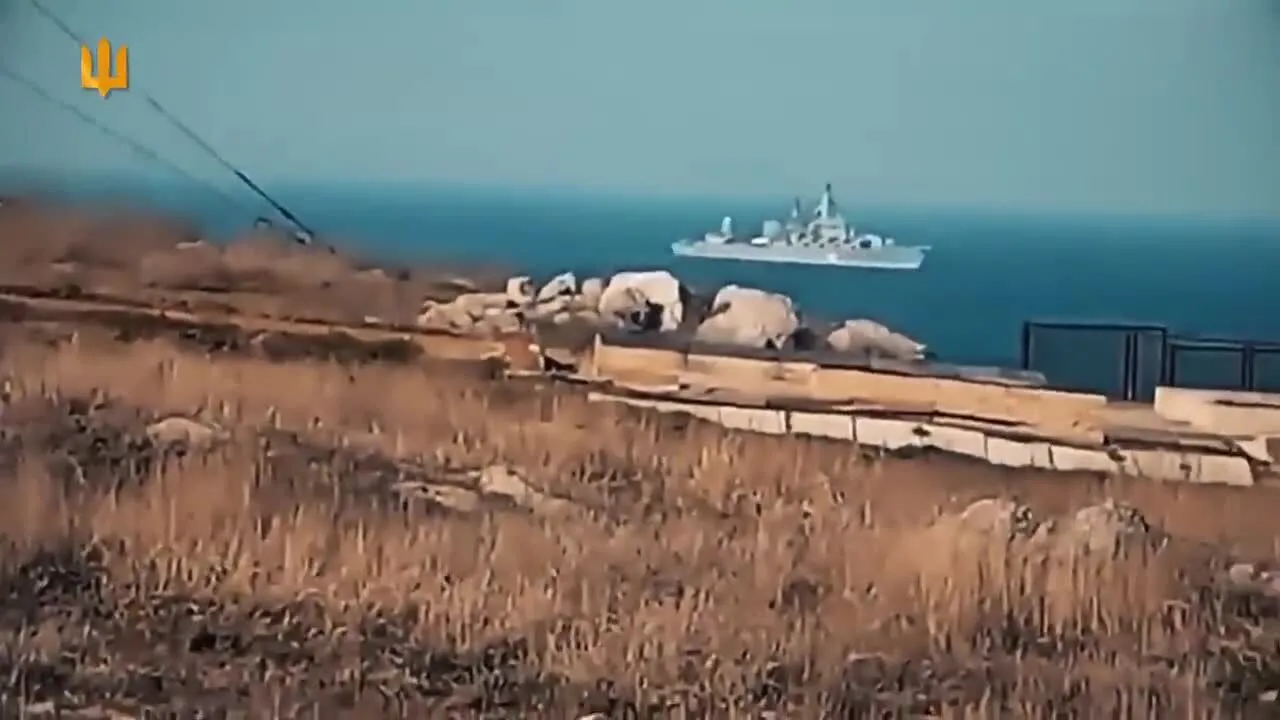 Залужний нагадав, як проходило звільнення Зміїного, і подякував захисникам України. Відео