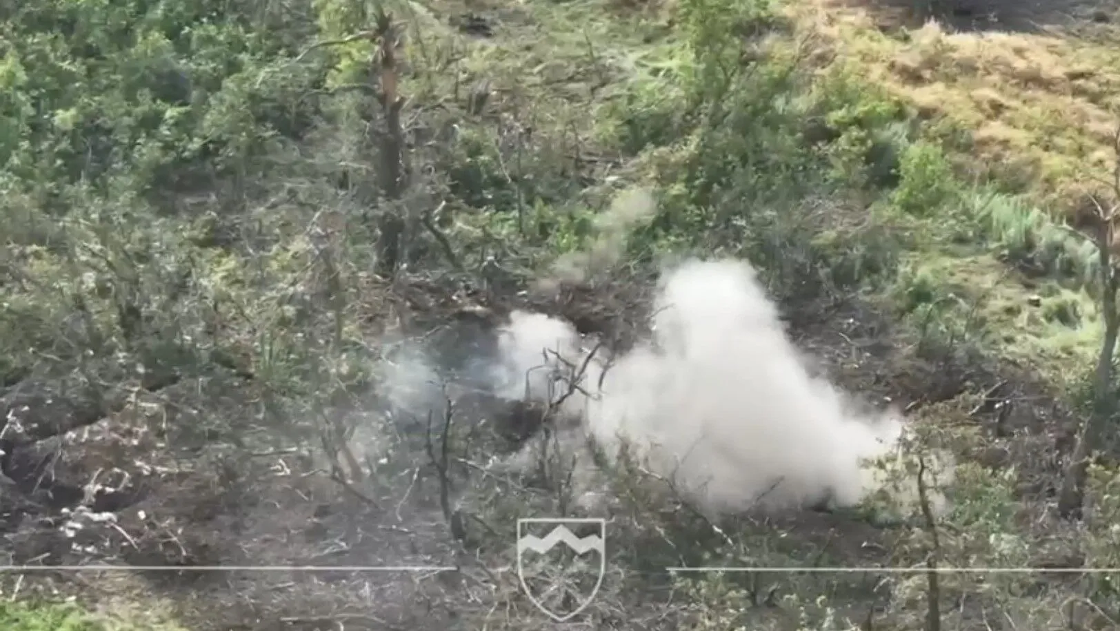 Відбито територію під Бахмутом: Сирський показав штурм ворожих позицій. Відео dqxikeidqxidqeant