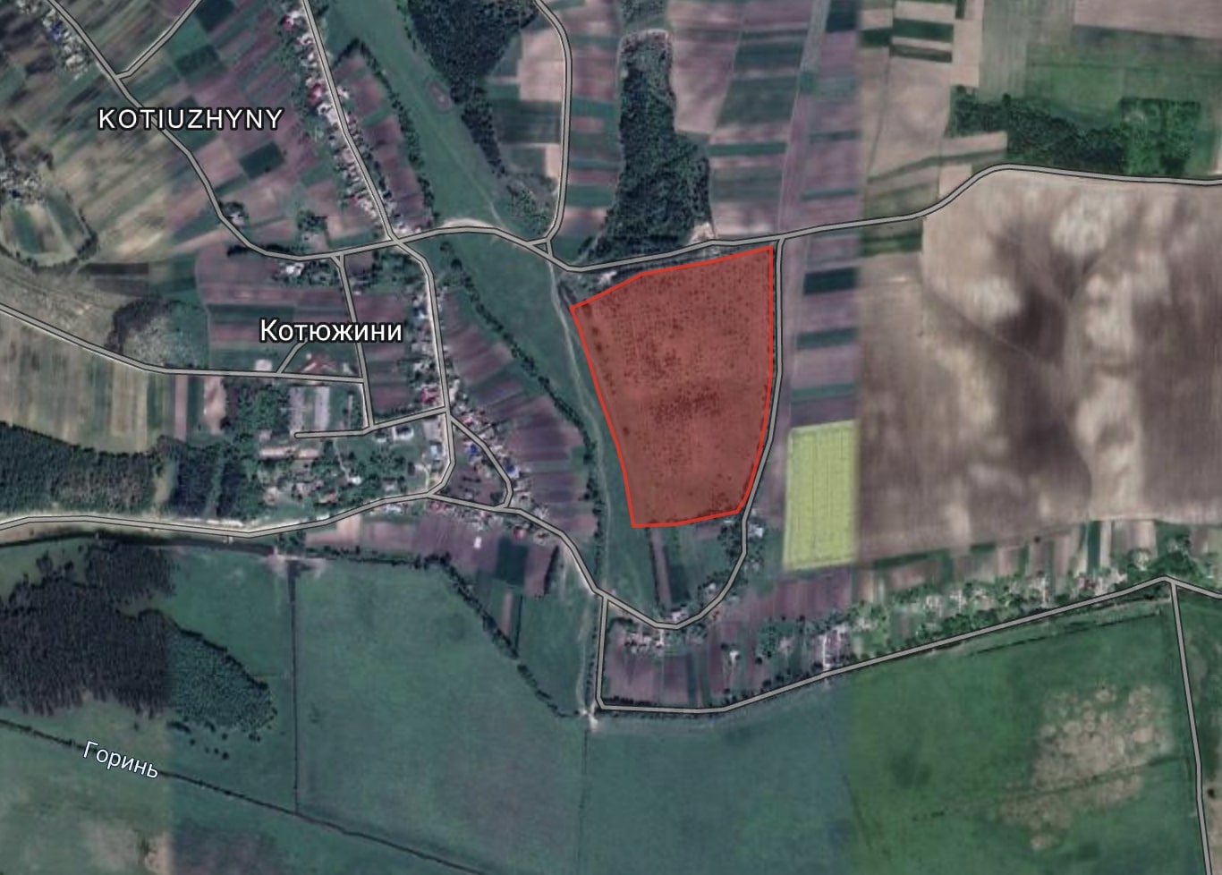 Михаил Головко и выращивание орехов