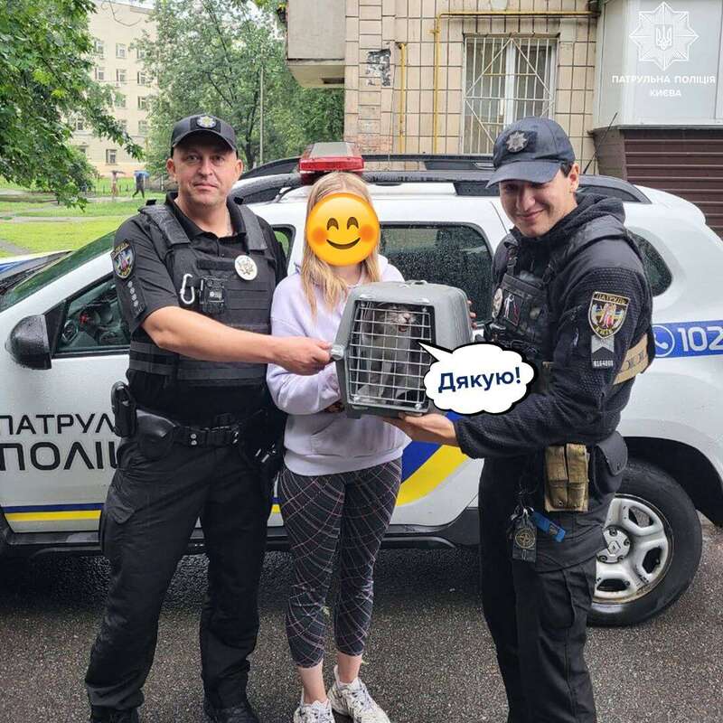 У Києві врятували котика, який кілька тижнів прожив у квартирі багатоповерхівки. Фото