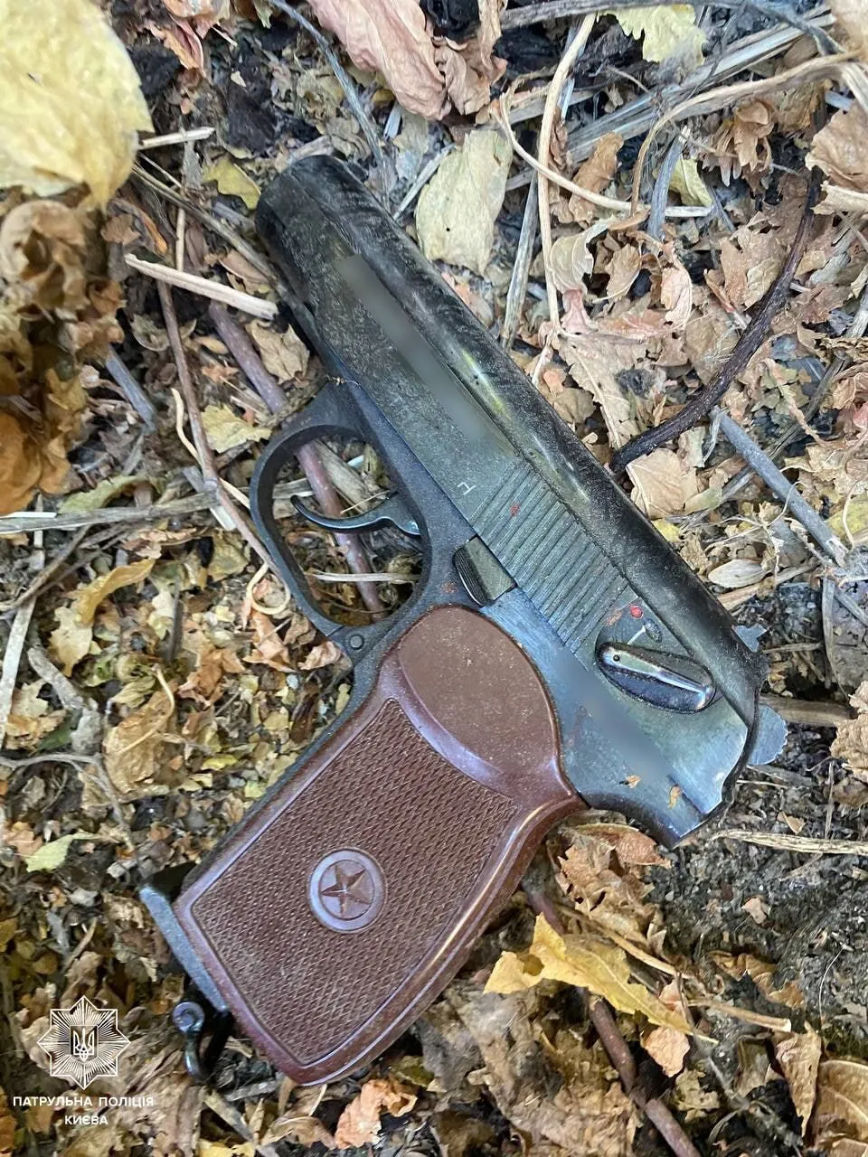 У Києві затримали велосипедиста, який їздив по вулиці та стріляв у собак. Фото