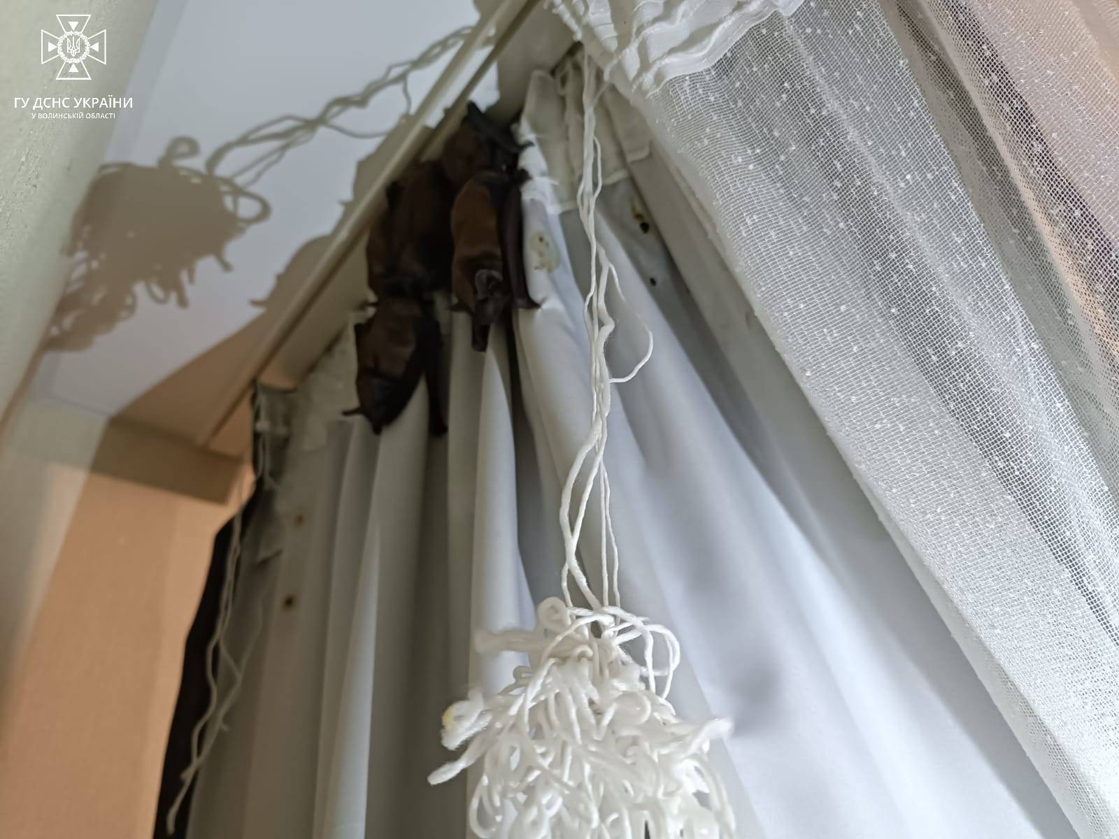         :   .  dqxikeidqxidqeant