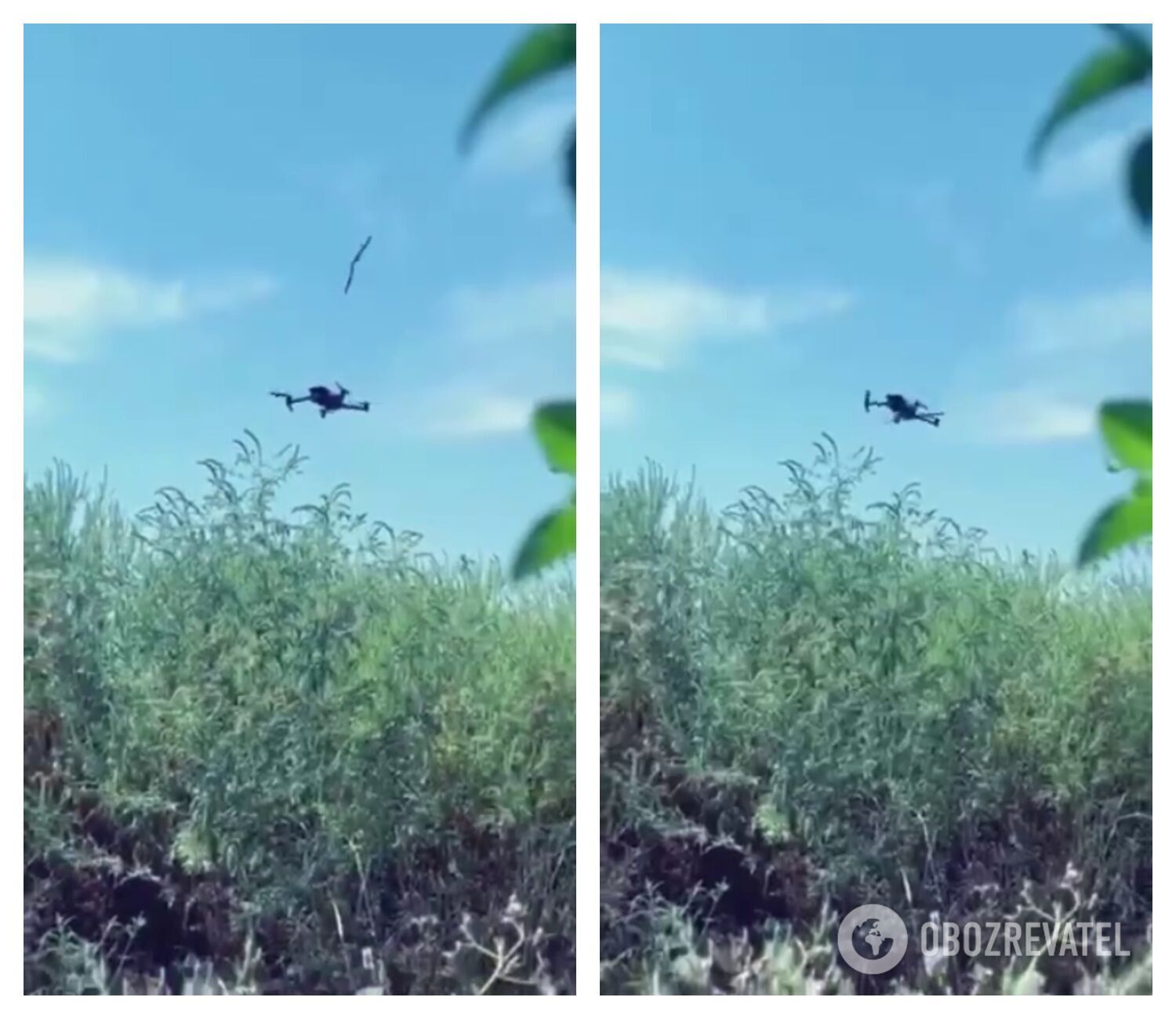 Перший кидок dqxikeidqxiqdzant