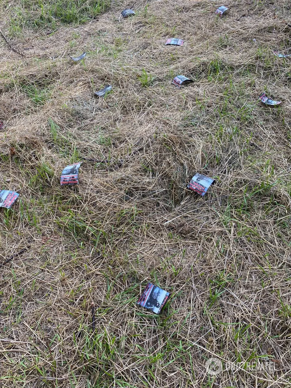 Оккупанты после значительных потерь распространили на Запорожье пропагандистские открытки. Фото