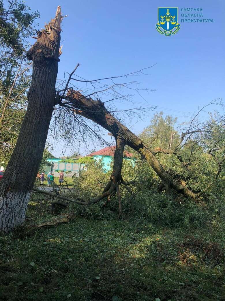 Рашисти вночі обстріляли Сваркове на Сумщині, загинула 82-річна жінка 02