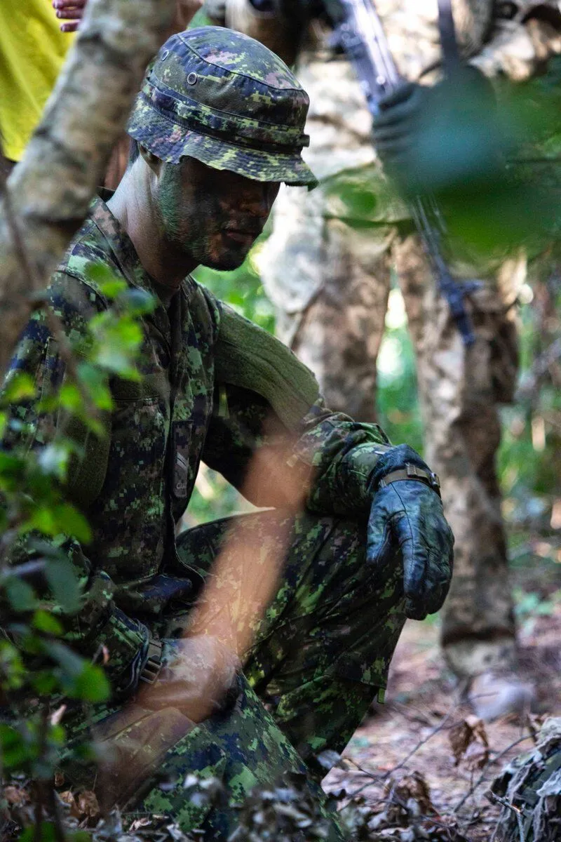     :   ,    .  dqxikeidqxiqqdant