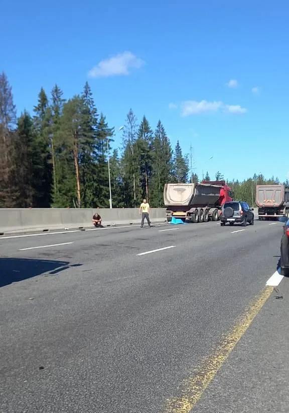 У Росії КамАЗ врізався у колону велосипедистів, вбивши спортсменів. Фото і відео dqxikeidqxidqrant