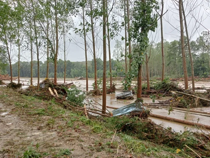 Стамбул затопило через потужну повінь: є загиблі та зниклі безвісти. Фото і відео