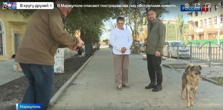 Ексведучий dqxikeidqxidqeant