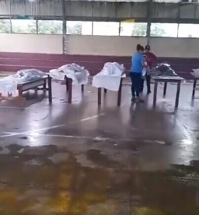 У Бразилії розбився літак з туристами, загинуло 14 осіб. Фото і відео dqxikeidqxidqrant