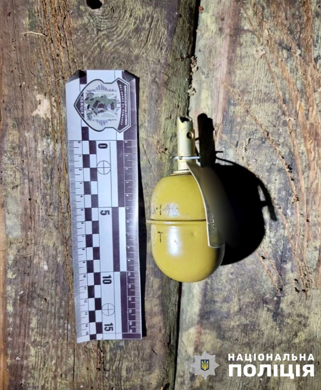      :    «» dqxikeidqxidqrant