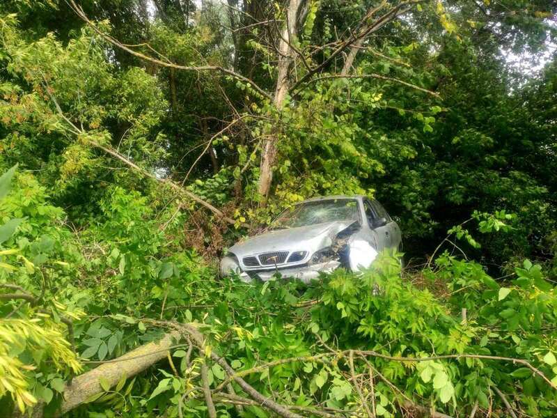 На Київщині водій легковика під час руху втратив свідомість: машина в’їхала в дерево. Фото