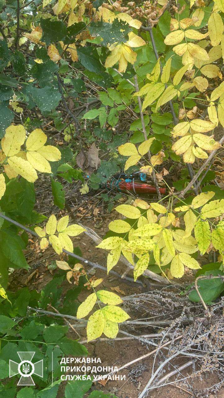 В Харківській області прикордонники "приземлили" начинений вибухівкою БпЛА dqxikeidqxidqeant