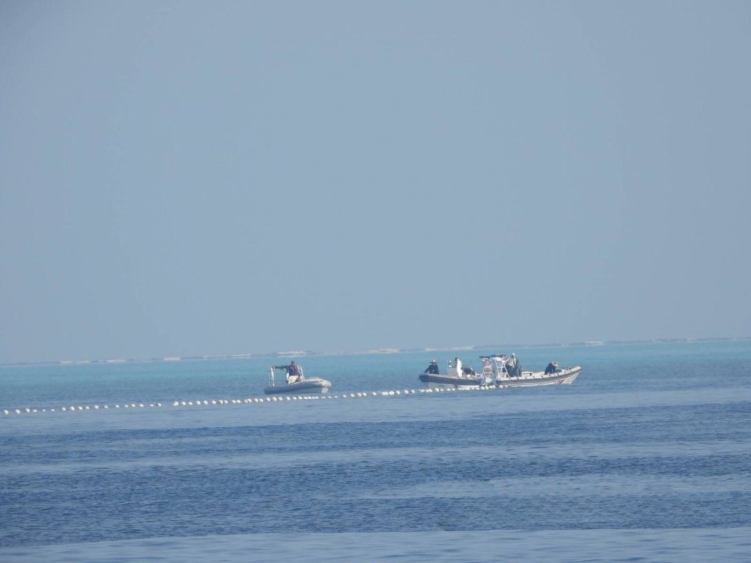 :   dqxikeidqxidqrant