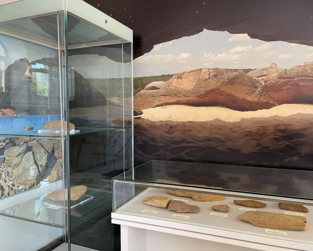 выставка из  dqxikeidqxidqrant