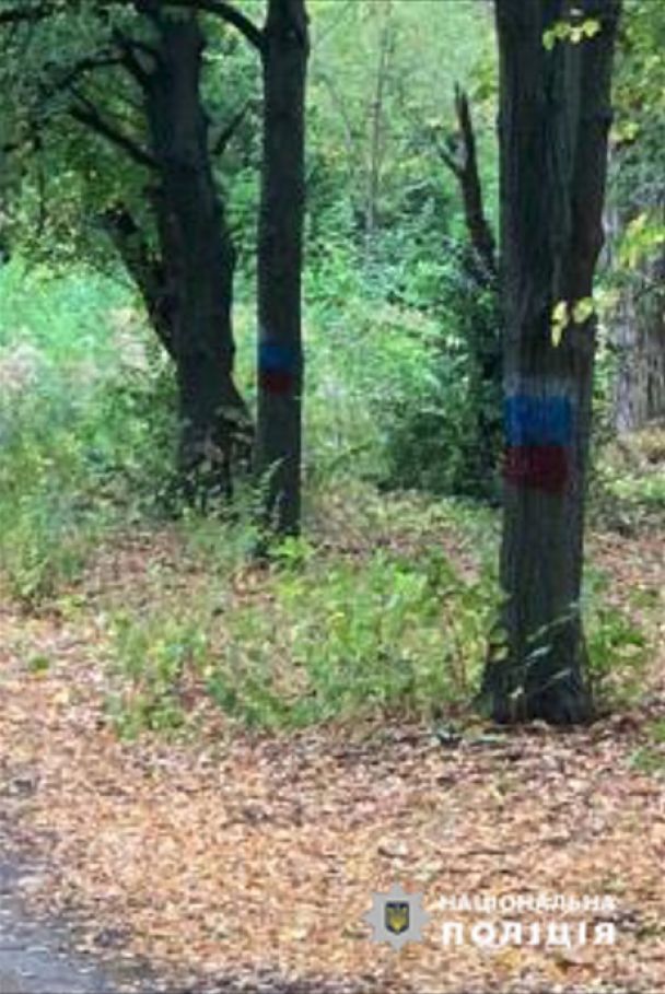 Російські прапори у Харкові / © Facebook поліції Харківської області dqxikeidqxidqrant