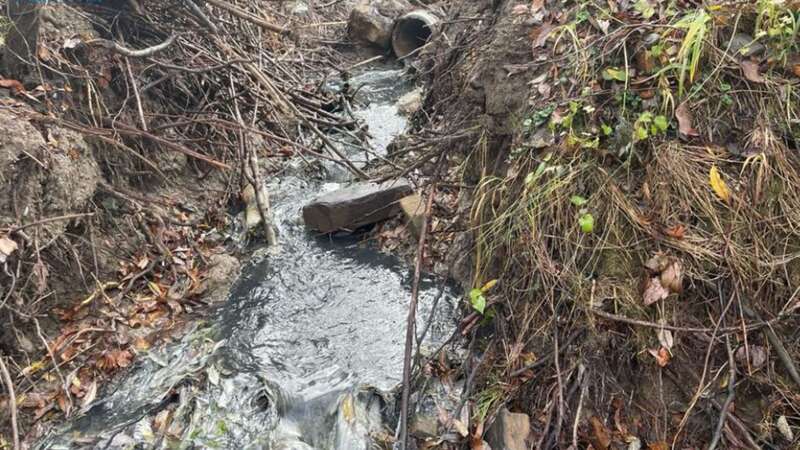 У курортному Славському комунальники 4 роки вивозили сміття на берег річки - фото 1 dqxikeidqxidqrant