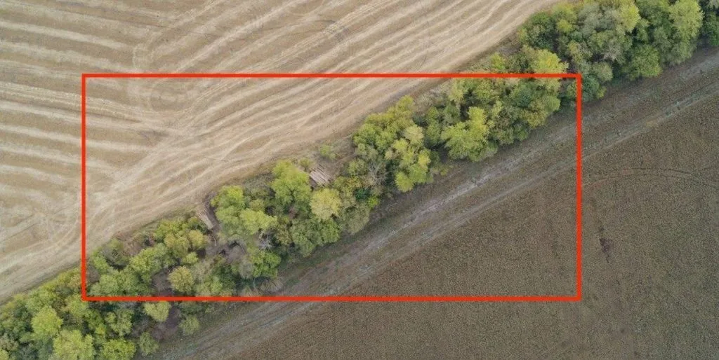 У Курській області РФ відбирають землі у фермерів для потреб окупантів: там будують опорні пункти. Фото