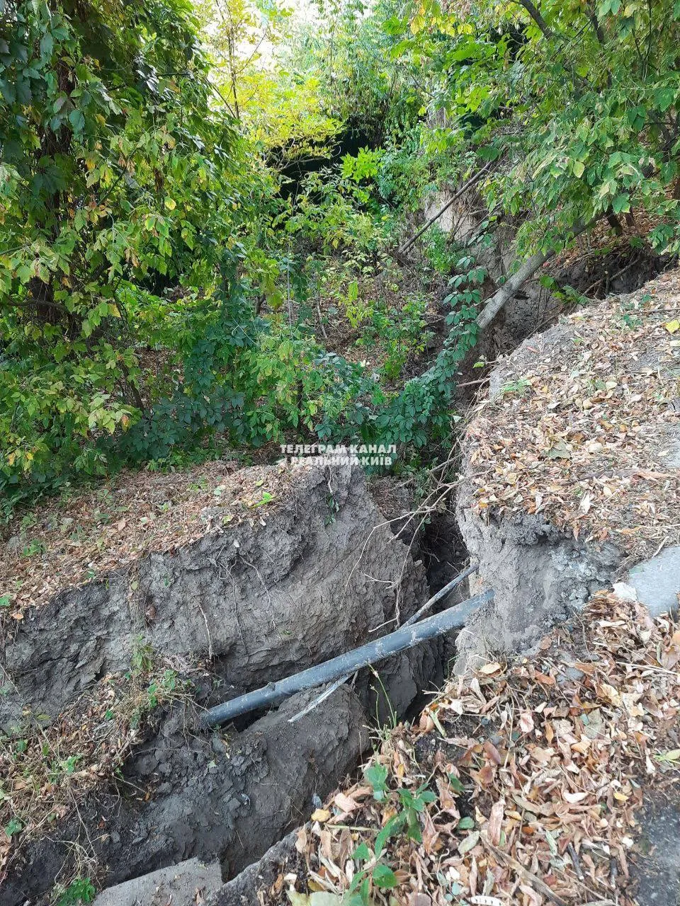 У Києві в Солом’янському ландшафтному парку утворився провал: відомо подробиці. Фото і відео dqxikeidqxidqrant