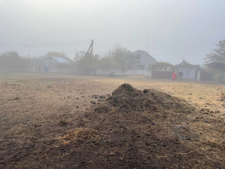     01 dqxikeidqxidqrant