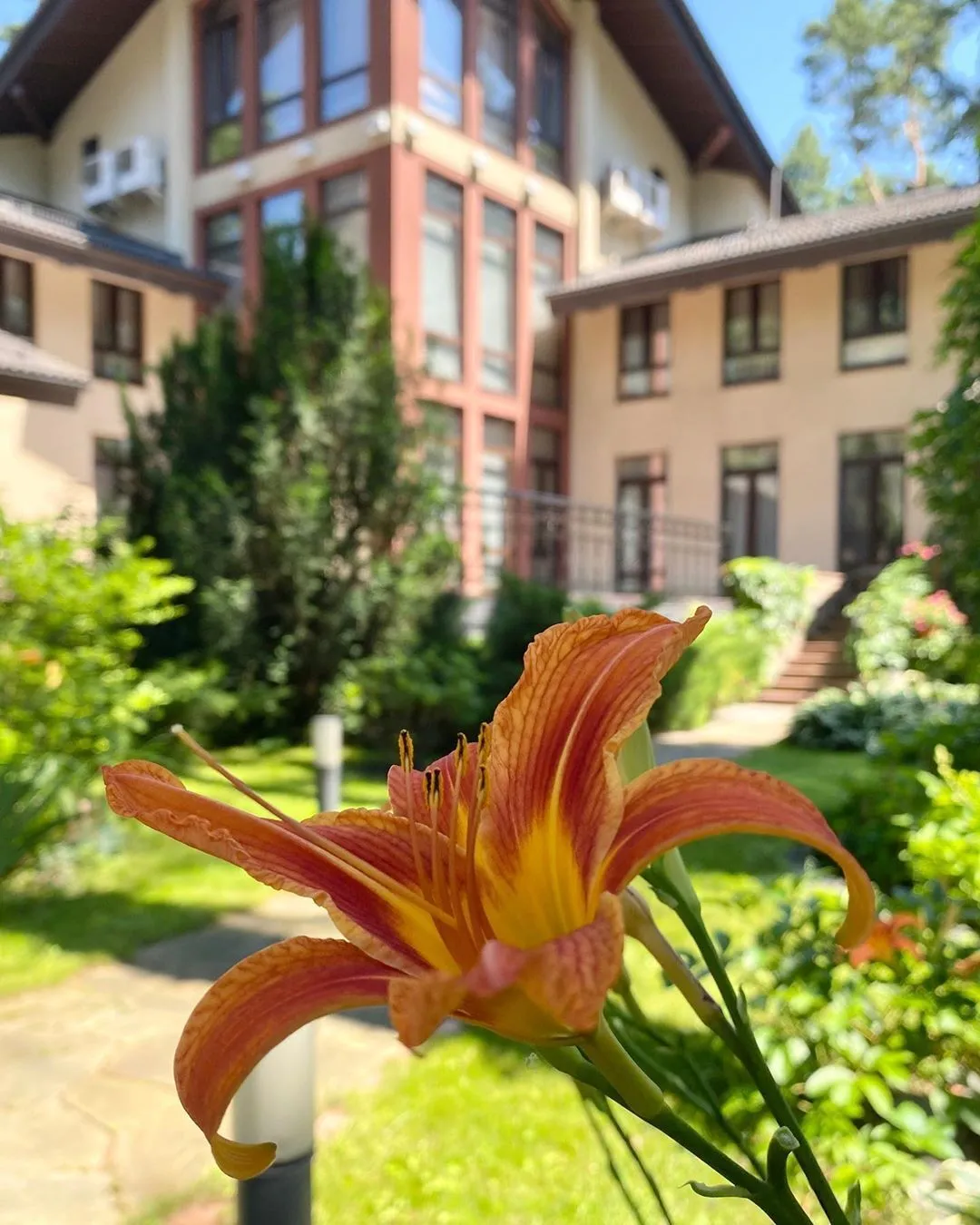    ,      :       dqxikeidqxidqrant