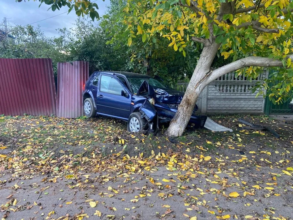 В Киевской области осудили водителя, который сбил насмерть двух девочек. Фото и подробности dqxikeidqxidqeant