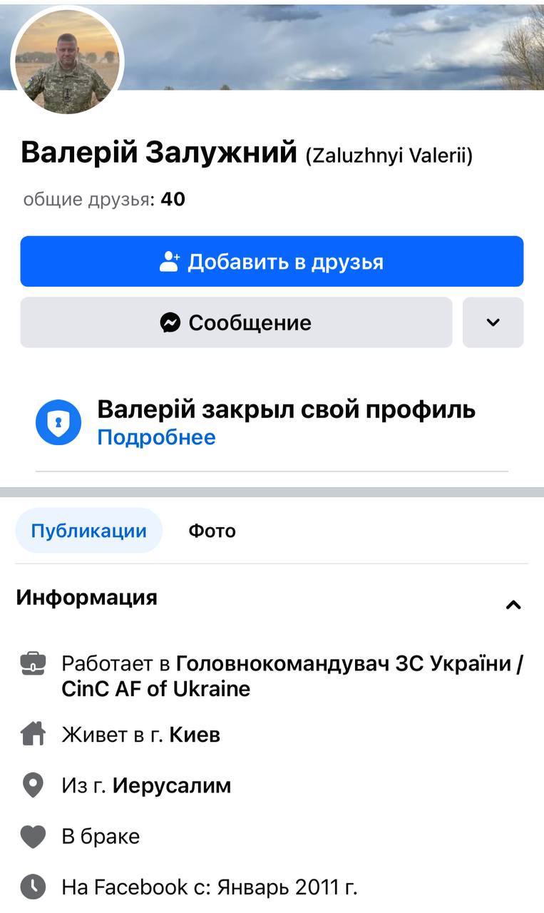 Профіль Залужного