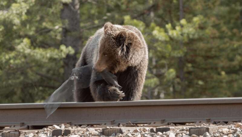     , , ’ ,  ,   ,   ,  ,  dqxikeidqxidqrant