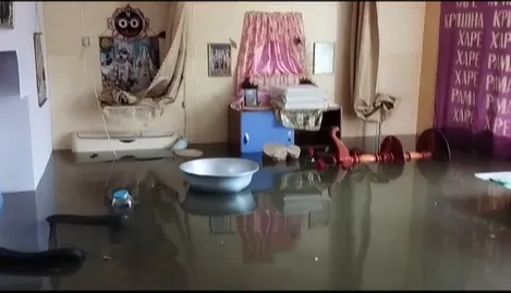 В Херсонской области российский военный расстрелял супругов кришнаитов: что известно о погибших