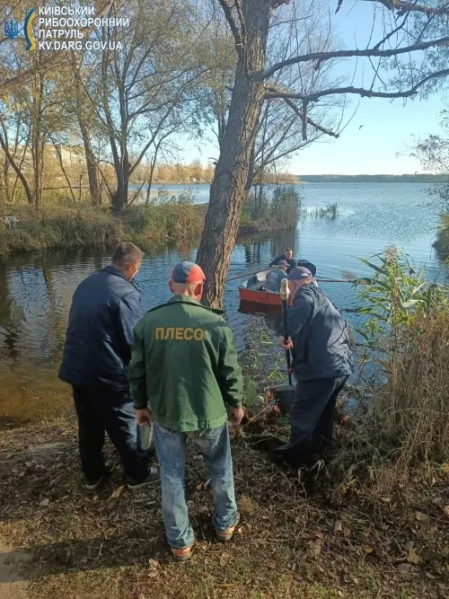 У Києві в найбільшому озері міста зафіксували масовий мор риби. Фото dqxikeidqxidqrant