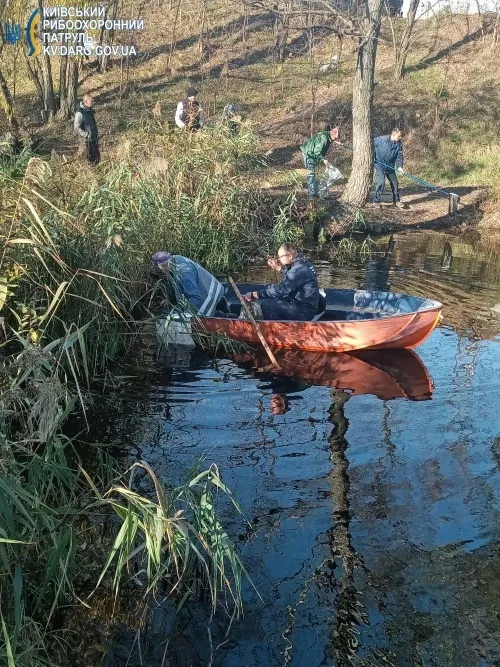 У Києві в найбільшому озері міста зафіксували масовий мор риби. Фото