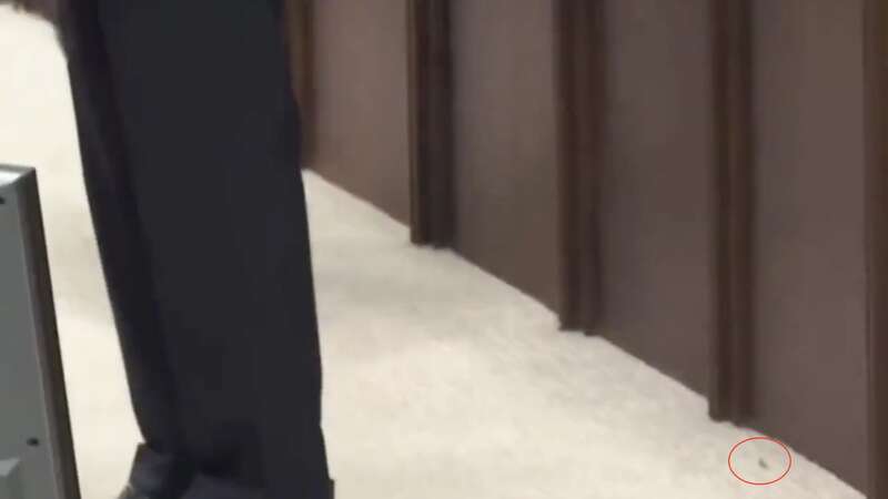 Охоронець Ердогана професійно ліквідував осу, яка сіла на плече президента. Відео курйозу