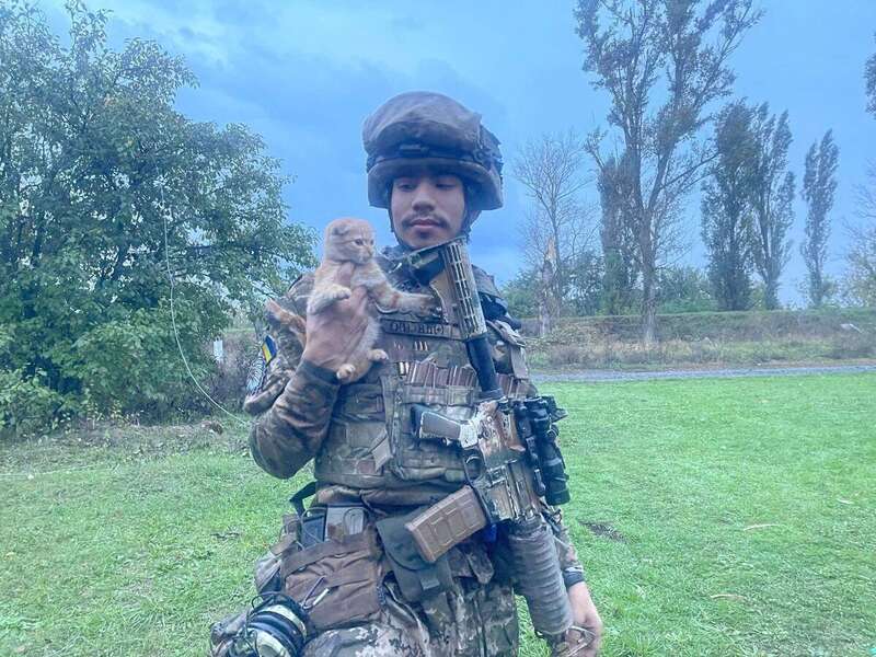  ,  :      25-   dqxikeidqxidqeant