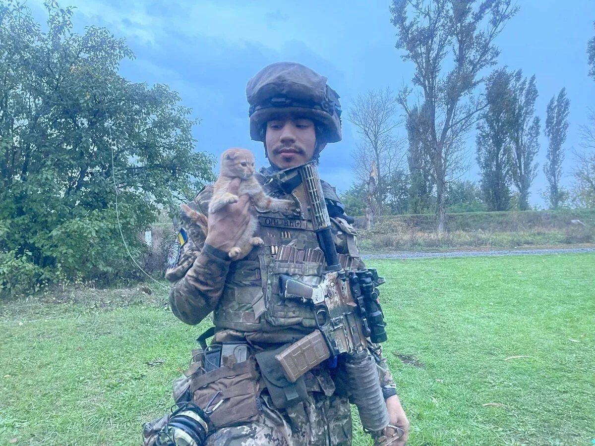  ,  :      25-   dqxikeidqxidqrant