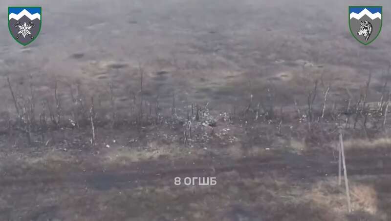   ,   :   dqxikeidqxidqeant