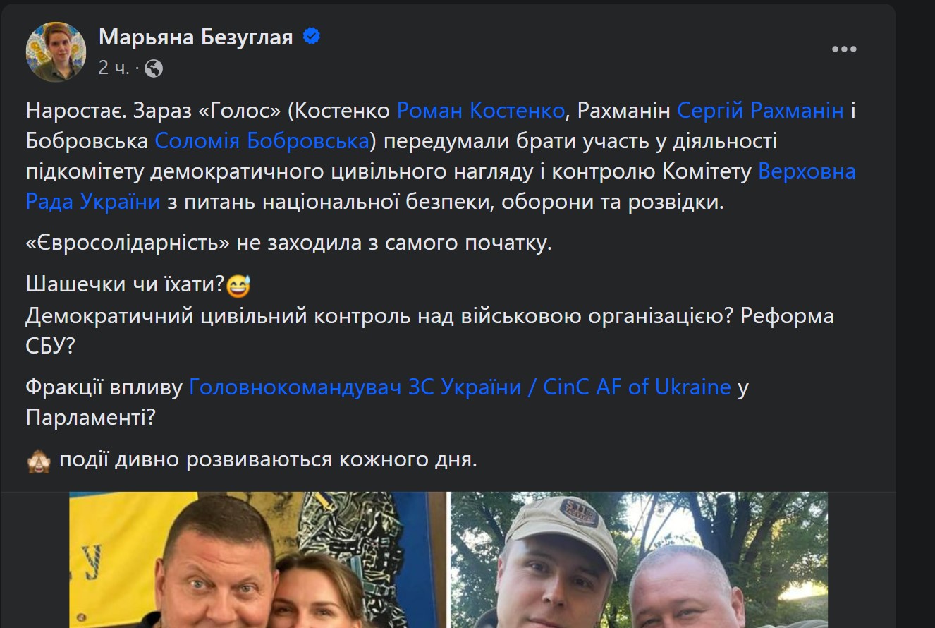 Безуглая обвинила депутатов в саботаже комитета по надзору за армией - фото 1 dqxikeidqxidqrant