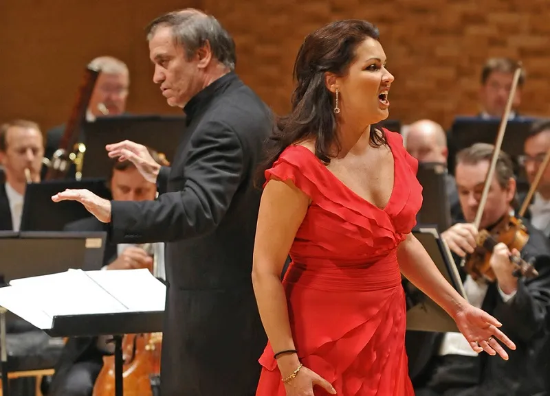   .       ,     - dqxikeidqxidqrant