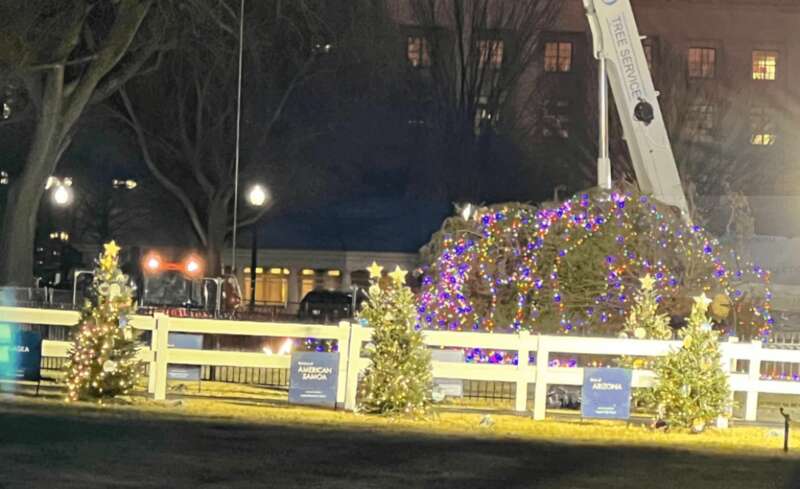 Головна ялинка США, падіння різдвяної ялинки, Джо Байден, Різдво, Новий рік, курйози, відео dqxikeidqxidqrant