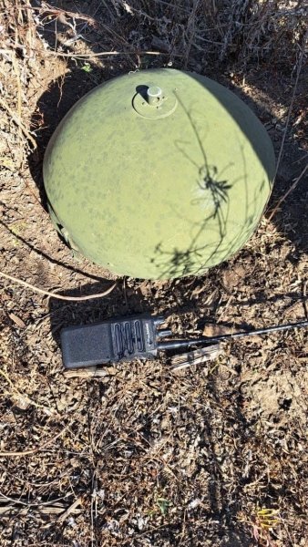 ,  dqxikeidqxidqeant