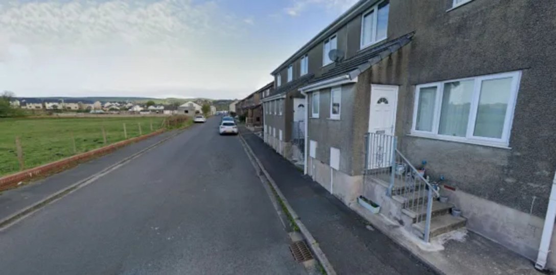   ,  ,  , 53 ,  ,  ,    dqxikeidqxidqrant