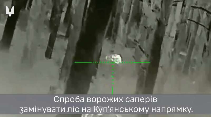          :     dqxikeidqxidqrant