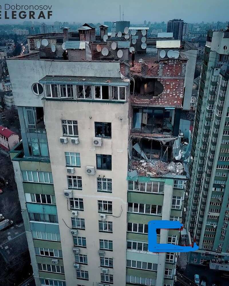   / © instagram.com/ananasova_olya dqxikeidqxiuuant